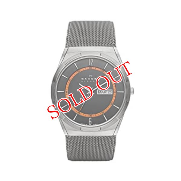 画像1: スカーゲン SKAGEN メンズ 腕時計 SKW6007 Aktiv Mesh (1)