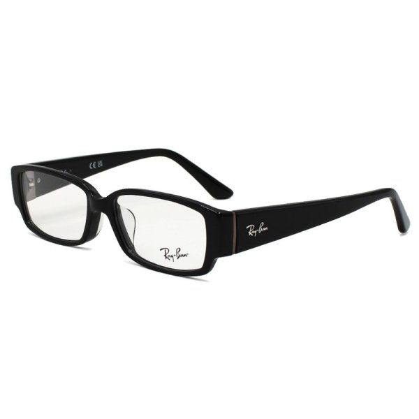 画像1: Ray-Ban レイバン 0RX5250 5114 54 フレーム メガネ 眼鏡 フレームのみ メンズ レディース ユニセックス (1)