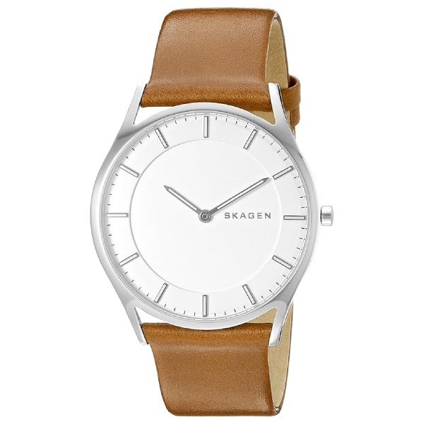 画像1: スカーゲン SKAGEN メンズ 腕時計 SKW6219 クォーツ (1)