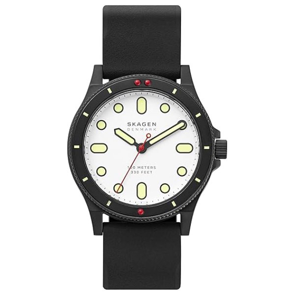 画像1: スカーゲン SKAGEN クオーツ メンズ 腕時計 SKW6667 (1)