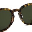 画像5: TOM FORD トムフォード FT0399-F/S 56N 52 TF399 サングラス アジアンフィット EYEWEAR メンズ レディース (5)